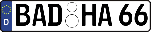 BAD-HA66