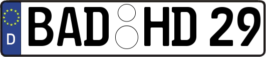 BAD-HD29