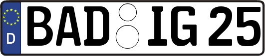 BAD-IG25