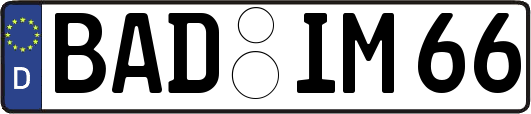 BAD-IM66