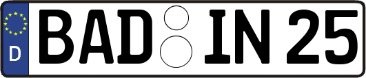 BAD-IN25