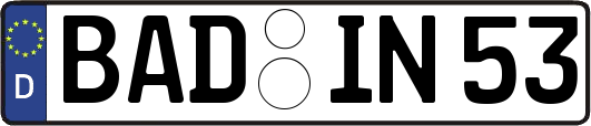 BAD-IN53