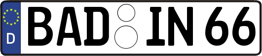 BAD-IN66