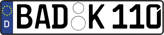 BAD-K110