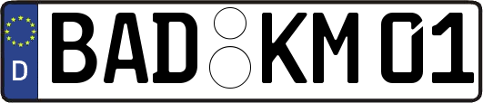 BAD-KM01