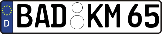 BAD-KM65