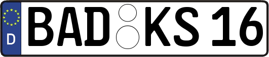 BAD-KS16