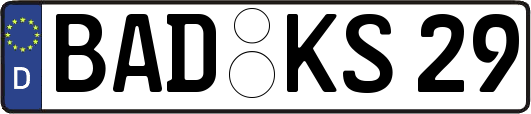 BAD-KS29