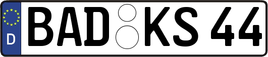BAD-KS44