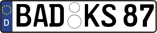 BAD-KS87