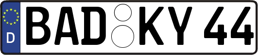 BAD-KY44