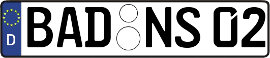 BAD-NS02