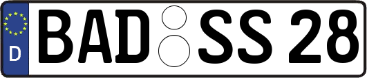 BAD-SS28