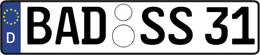 BAD-SS31