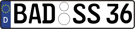 BAD-SS36