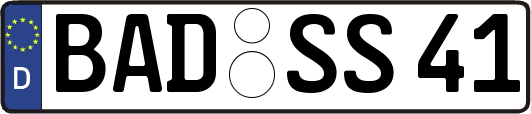 BAD-SS41