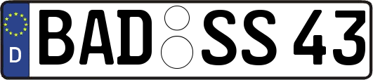 BAD-SS43