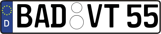 BAD-VT55