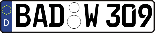 BAD-W309