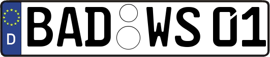 BAD-WS01