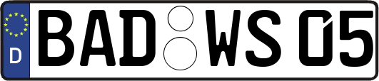 BAD-WS05