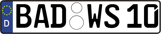 BAD-WS10