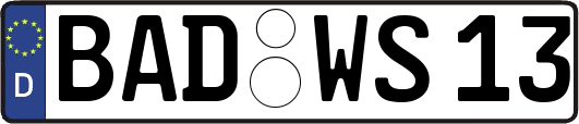 BAD-WS13