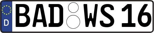 BAD-WS16