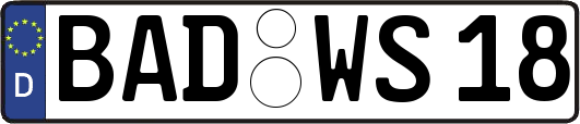 BAD-WS18