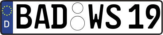 BAD-WS19