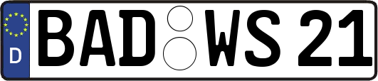 BAD-WS21