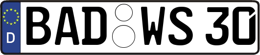 BAD-WS30