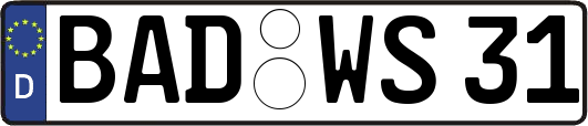 BAD-WS31