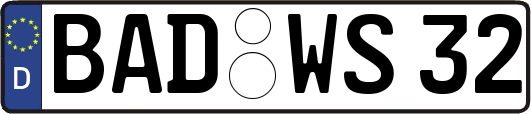 BAD-WS32