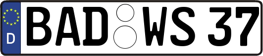 BAD-WS37