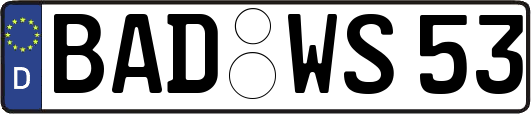 BAD-WS53
