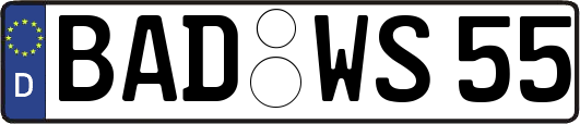 BAD-WS55