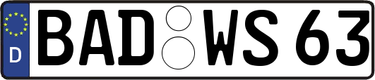 BAD-WS63