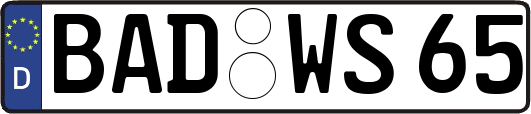 BAD-WS65