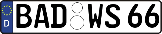 BAD-WS66