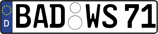 BAD-WS71