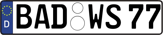 BAD-WS77