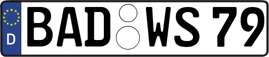 BAD-WS79