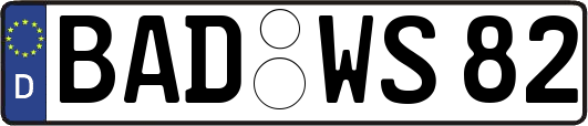 BAD-WS82