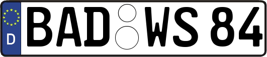 BAD-WS84
