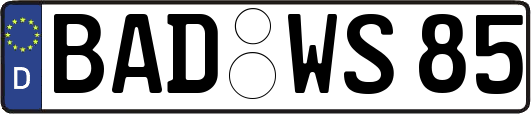 BAD-WS85