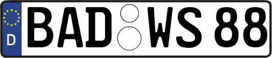 BAD-WS88