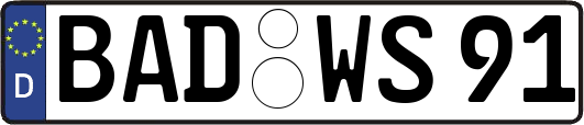 BAD-WS91