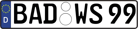 BAD-WS99
