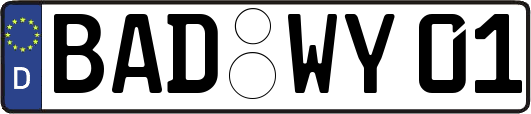 BAD-WY01